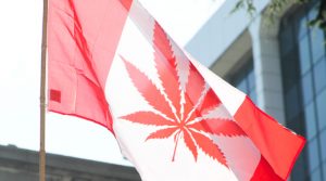 kanada-palenie-marihuany-w-kanadzie-usa-thc-usa-thc