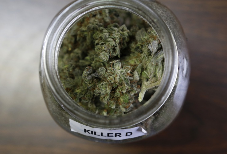 USA: Zatwierdzone zasady i opłaty dla przychodni z medyczną marihuaną w County, KonopiaLeczy.com
