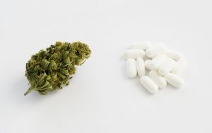 Cannabis i leki, KonopiaLeczy.com