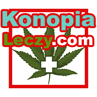 Wróć do strony domowej